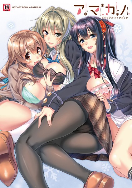 アマカノビジュアルファンブック-評価5.00|ピロ水-ピロ水❤単行本