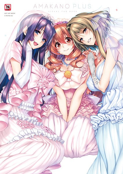 アマカノ＋ ビジュアルファンブック-評価5.00|ピロ水-ピロ水❤単行本