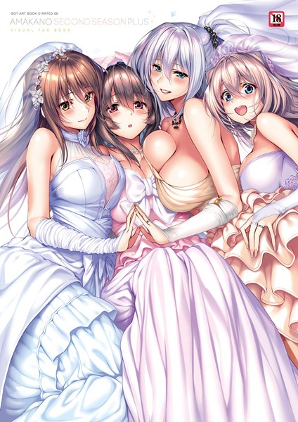 アマカノ〜Second Season〜＋（プラス）ビジュアルファンブック【FANZA限定特典付き】-評価5.00|ピロ水-ピロ水❤単行本