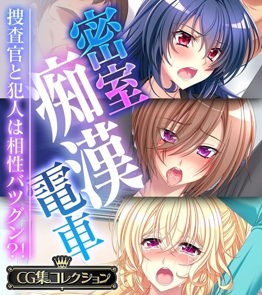 密室痴●電車 〜捜査官と犯人は相性バツグン？！〜【CG集コレクション】-評価|大人のSEXY絵本-大人のSEXY絵本❤単行本