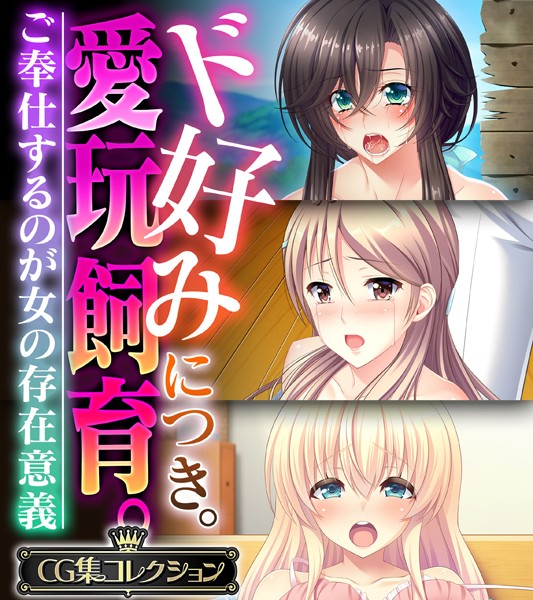 ド好みにつき。愛玩飼育 。 〜ご奉仕するのが女の存在意義〜【CG集コレクション】-評価|大人のSEXY絵本-大人のSEXY絵本❤単行本