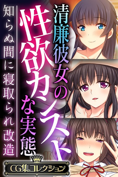 清廉彼女の性欲カンストな実態 〜知らぬ間に寝取られ改造〜【CG集コレクション】-評価|大人のSEXY絵本-大人のSEXY絵本❤単行本
