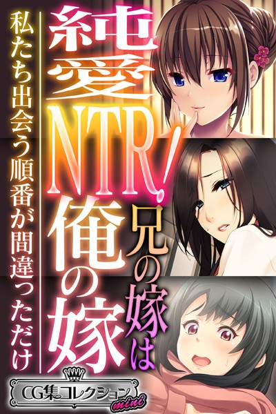 純愛NTR！兄の嫁は俺の嫁 〜私たち出会う順番が間違っただけ〜【CG集コレクション ミニ】-評価|大人のSEXY絵本-大人のSEXY絵本❤単行本