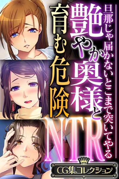 艶やか奥様と育む危険NTR 〜旦那じゃ届かないとこまで突いてやる〜【CG集コレクション】-評価|大人のSEXY絵本-大人のSEXY絵本❤単行本