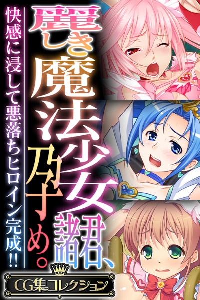 麗しき魔法少女諸君、孕め。 〜快感に浸して悪落ちヒロイン完成！！〜【CG集コレクション】-評価|大人のSEXY絵本-大人のSEXY絵本❤単行本