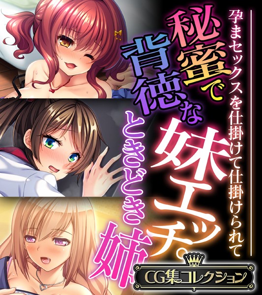 秘蜜で背徳な妹エッチ。ときどき姉 〜孕まセックスを仕掛けて仕掛けられて〜【CG集コレクション】-評価|大人のSEXY絵本-大人のSEXY絵本❤単行本