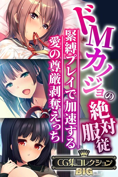 ドMカノジョの絶対服従 〜緊縛プレイで加速する愛の尊厳剥奪えっち〜【CG集コレクションBIG】-評価|大人のSEXY絵本-大人のSEXY絵本❤単行本