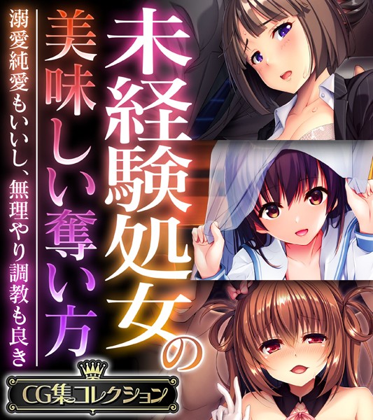 未経験処女の美味しい奪い方 〜溺愛純愛もいいし、無理やり調教も良き〜【CG集コレクション】-評価|大人のSEXY絵本-大人のSEXY絵本❤単行本