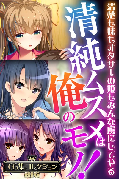 清純ムスメは俺のモノ！〜清楚も妹もオタサーの姫もみんな虜にしてやる〜【CG集コレクションBIG】-評価|大人のSEXY絵本-大人のSEXY絵本❤単行本