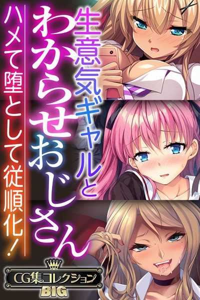 生意気ギャルとわからせおじさん 〜ハメて堕として従順化！〜【CG集コレクションBIG】-評価|大人のSEXY絵本-大人のSEXY絵本❤単行本