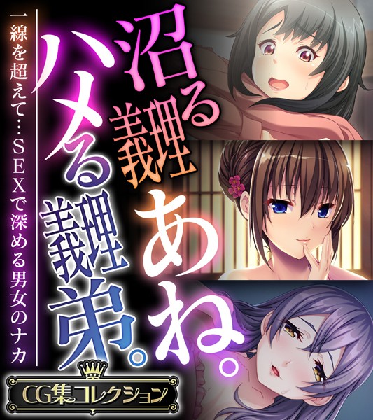 沼る義理あね。ハメる義理弟。 〜一線を超えて…SEXで深める男女のナカ〜【CG集コレクション】-評価|大人のSEXY絵本-大人のSEXY絵本❤単行本