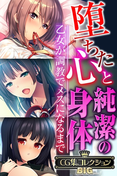 堕ちた心と純潔の身体〜乙女が調教でメスになるまで〜【CG集コレクションBIG】-評価|大人のSEXY絵本-大人のSEXY絵本❤単行本