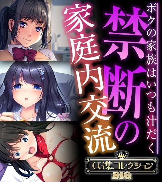 禁断の家庭内交流 〜ボクの家族はいつも汁だく〜【CG集コレクションBIG】-評価|大人のSEXY絵本-大人のSEXY絵本❤単行本