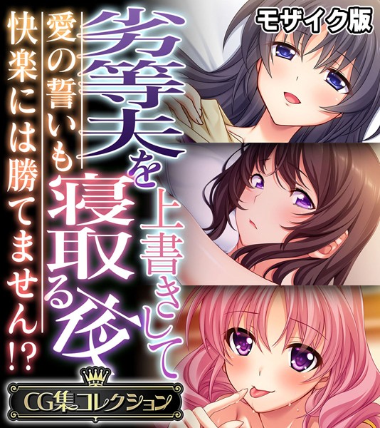 劣等夫を上書きして寝取る夜 〜愛の誓いも快楽には勝てません！？〜【CG集コレクション】 モザイク版-評価|大人のSEXY絵本-大人のSEXY絵本❤単行本