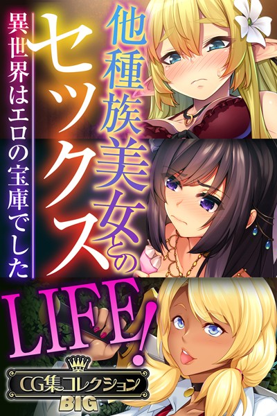 他種族美女とのセックスLIFE！ 〜異世界はエロの宝庫でした〜【CG集コレクションBIG】-評価|大人のSEXY絵本-大人のSEXY絵本❤単行本
