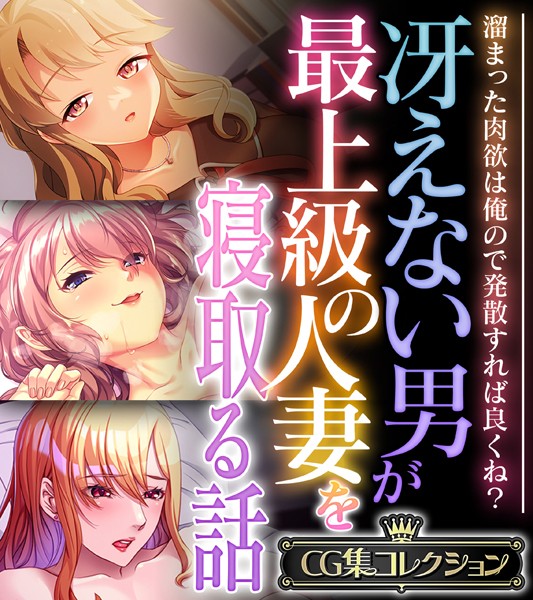 冴えない男が最上級の人妻を寝取る話 〜溜まった肉欲は俺ので発散すれば良くね？〜【CG集コレクション】-評価|大人のSEXY絵本-大人のSEXY絵本❤単行本