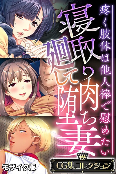 寝取り廻して肉堕ち妻 〜疼く肢体は他人棒で慰めたい〜【CG集コレクション】 モザイク版-評価|大人のSEXY絵本-大人のSEXY絵本❤フルカラー