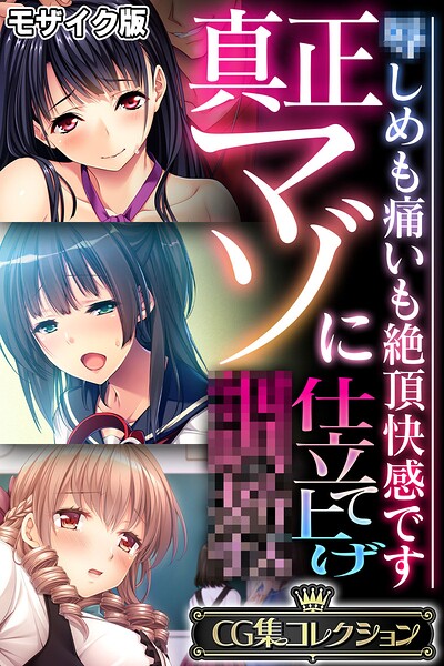 真正マゾに仕立て上げ●● 〜●しめも痛いも絶頂快感です〜【CG集コレクション】 モザイク版-評価|大人のSEXY絵本-大人のSEXY絵本❤フルカラー