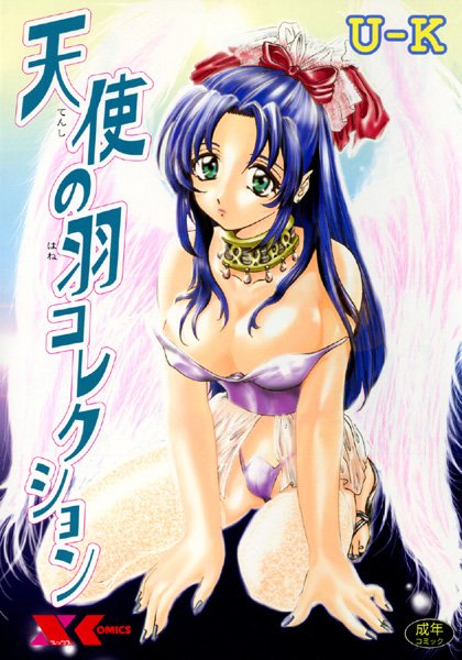 天使の羽コレクション-評価|U-K-U-K❤学園もの